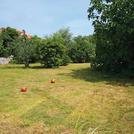 Stunning In With Kitchen Apartment *