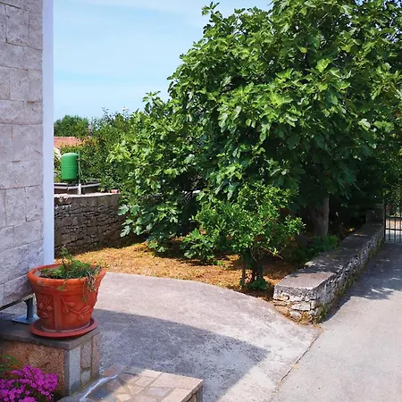 Appartamento Stunning In With Kitchen Pola